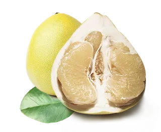 实物柚子水果png海报合成素材