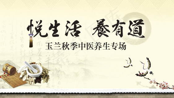 养生宣传海报PSD素材