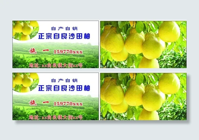 沙田柚名片图片(210X297)cdr矢量模版下载