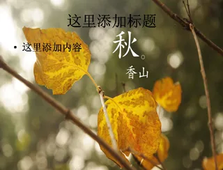 北京香山静宜园秋天风景摄影宽屏p...