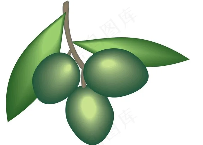 橄榄图片cdr矢量模版下载