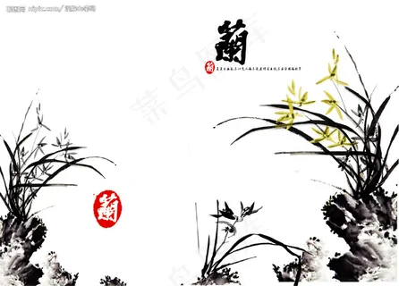 国画菊 国画菊