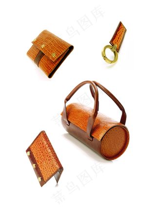 欧美时尚奢华手袋配件图片