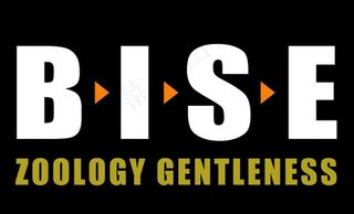 创意封皮设计图片