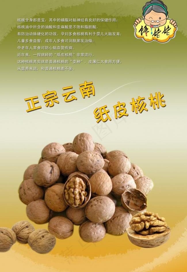干果画册图片psd模版下载