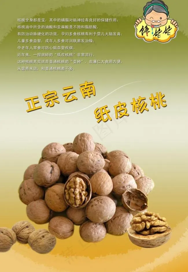 干果画册图片psd模版下载