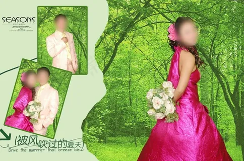 被风吹过的夏天图片