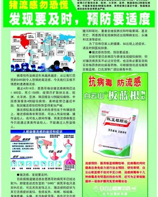 猪流感药品广告图片