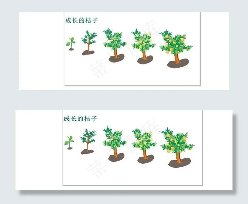 农场（桔子生长过程）图片cdr矢量模版下载