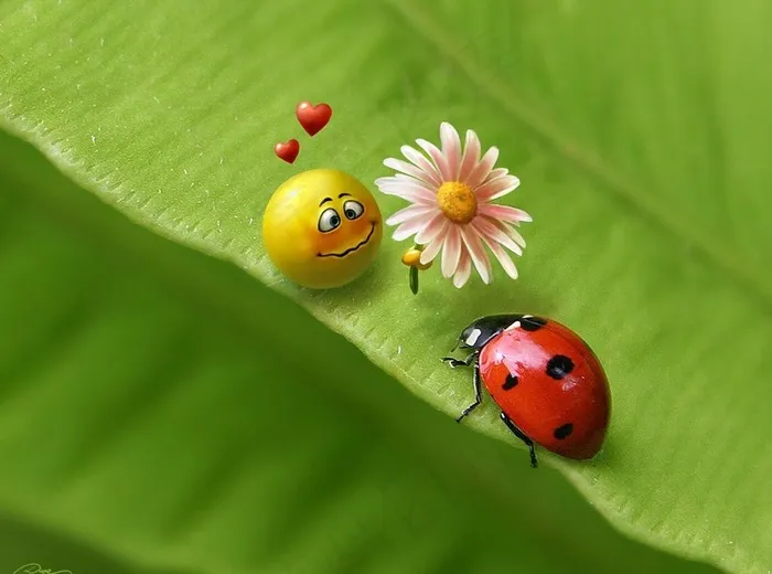 相恋图片