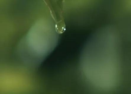 一滴水掉下高清素材图片 一滴水掉下高清素材图片