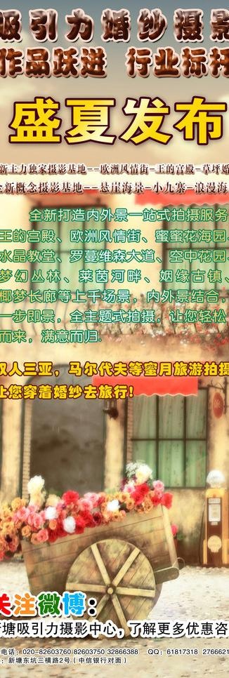 影楼宣传x展架图片(1701X4535(DPI:72))psd模版下载