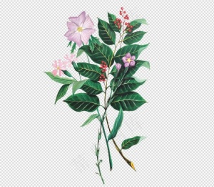 唯美免扣手绘花朵叶子树叶背景墙素材...
