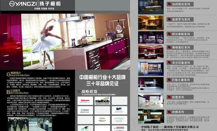 扬子橱柜图片(5031X3437(DPI:300))psd模版下载