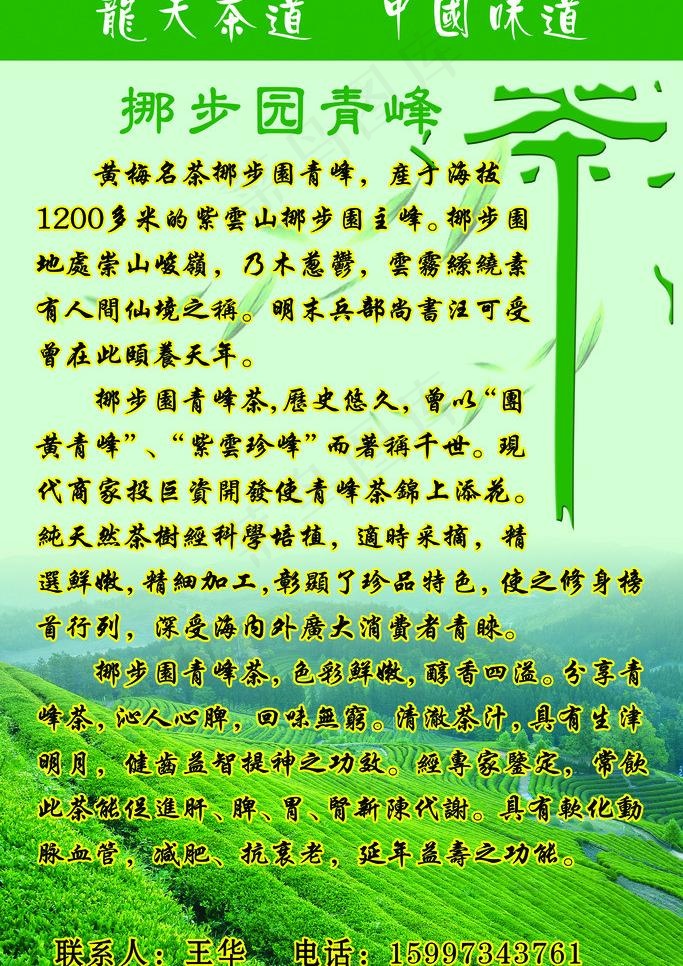 茶叶图片(2362X3543(DPI:300))psd模版下载