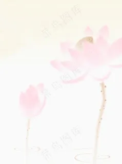粉色莲花中国风背景图