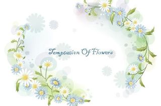 韩国植物装饰边框矢量图26