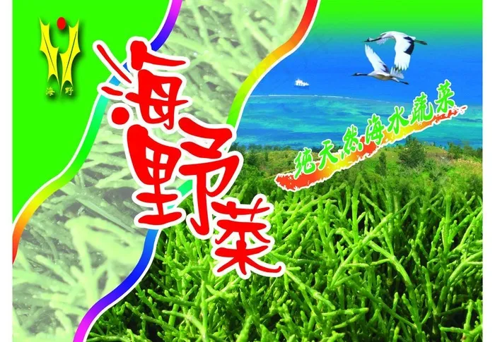 海野菜 纯天然海水蔬菜图片(2756X2067(DPI:350))psd模版下载