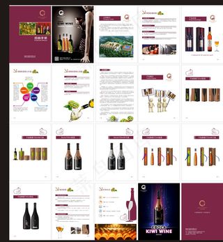 猕猴桃酒画册图片