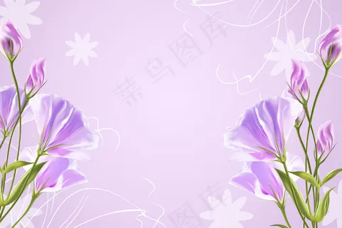 菊花 玫瑰 百合 枫树 紫色 菊花 玫瑰 百合 枫树 紫色