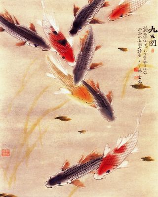 九鱼图背景