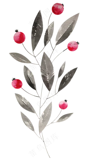 手绘红石榴果子PNG透明素材