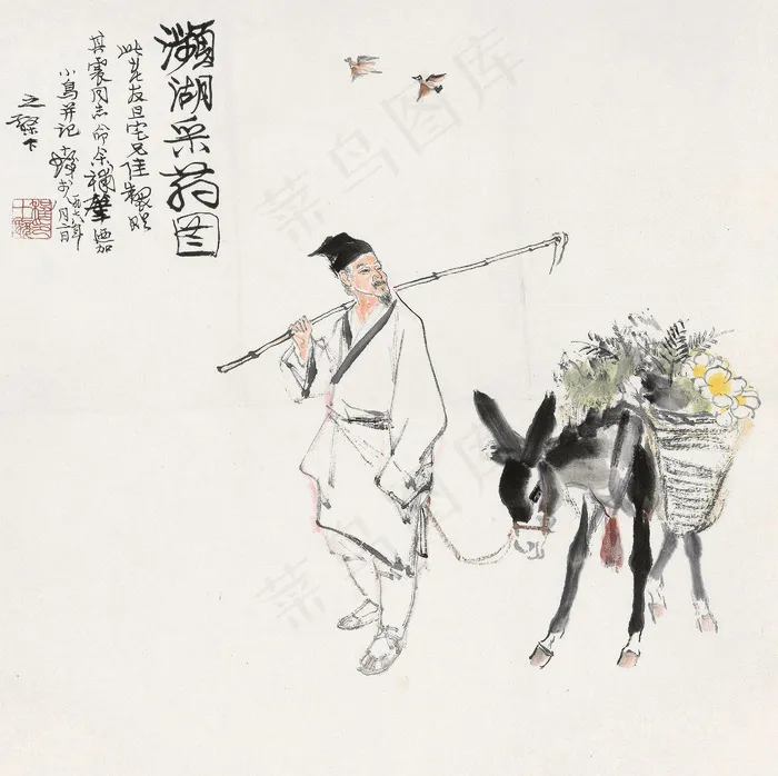 滨湖采药图片