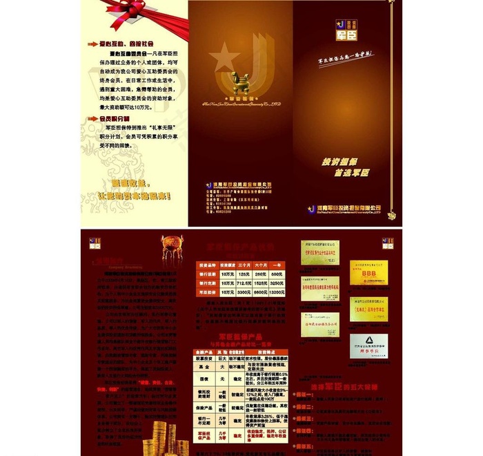担保公司简介图片cdr矢量模版下载