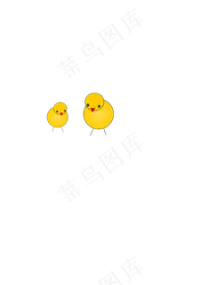 小鸡 小鸡