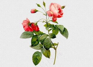 唯美免扣手绘花朵叶子树叶背景墙素材...