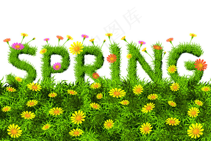 春天雏菊花丛矢量素材