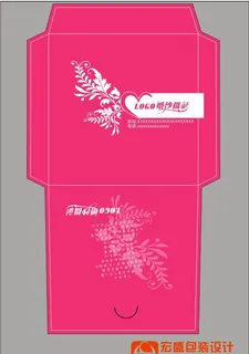 玫红光盘封套二十一