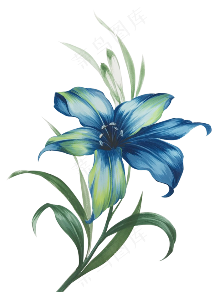 原创手绘彩色水粉花