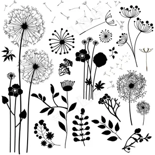 蒲公英简笔插画