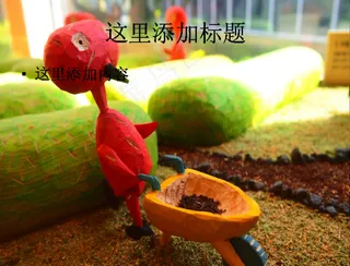 韩国济州岛风光风景摄影(9)