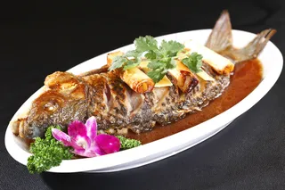 生煎野生黄河鲤鱼图片