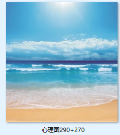 心理图290 270