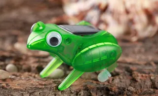 太阳能小青蛙图片