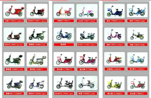 速派奇电动车折图片