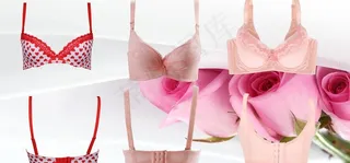 女士内衣图片