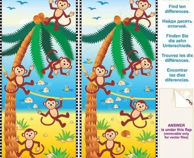 找不同 卡通椰子树上的猴子图片