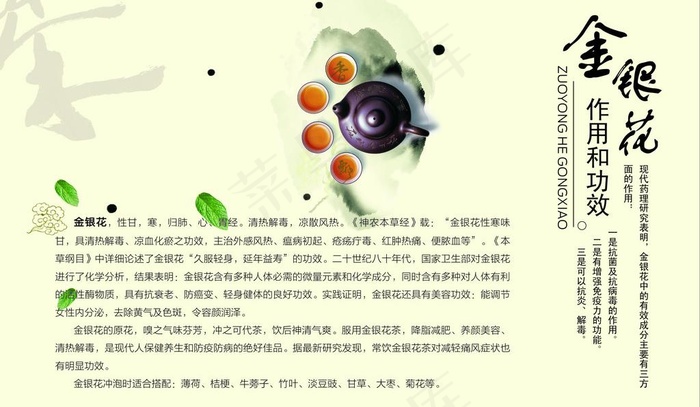 茶叶折页图片cdr矢量模版下载