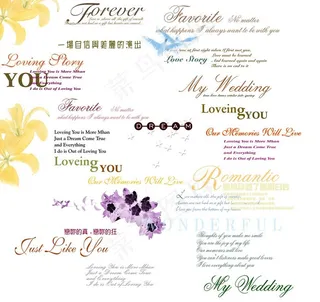 艺术 艺术字 字体 设计字体 婚纱设计字体 英文字体 英文 花 黄花 海鸟 海鸥图片