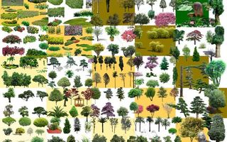 绿化景观素材(树)图片