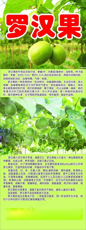罗汉果X展架 罗汉果X展架