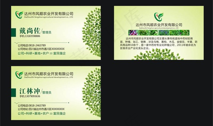 绿色名片图片