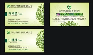 绿色名片图片