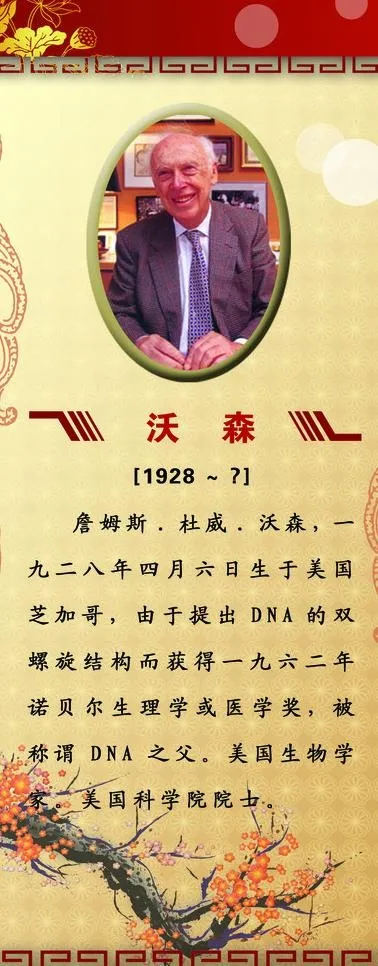 沃森 名人简介图片psd模版下载