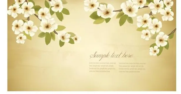 春天的白色花朵，老式的背景02