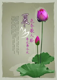 花朵花瓣